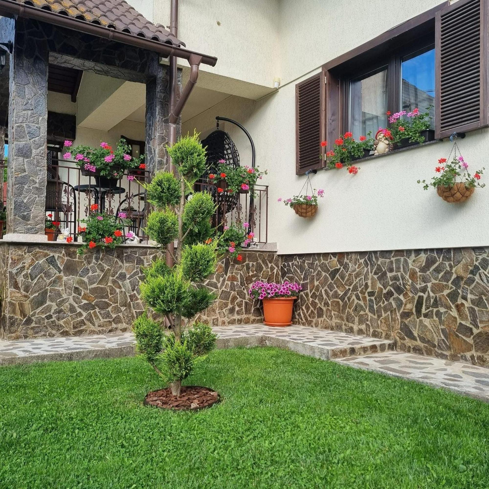 Pensiunea Select Curtea de Argeş Exteriér fotografie