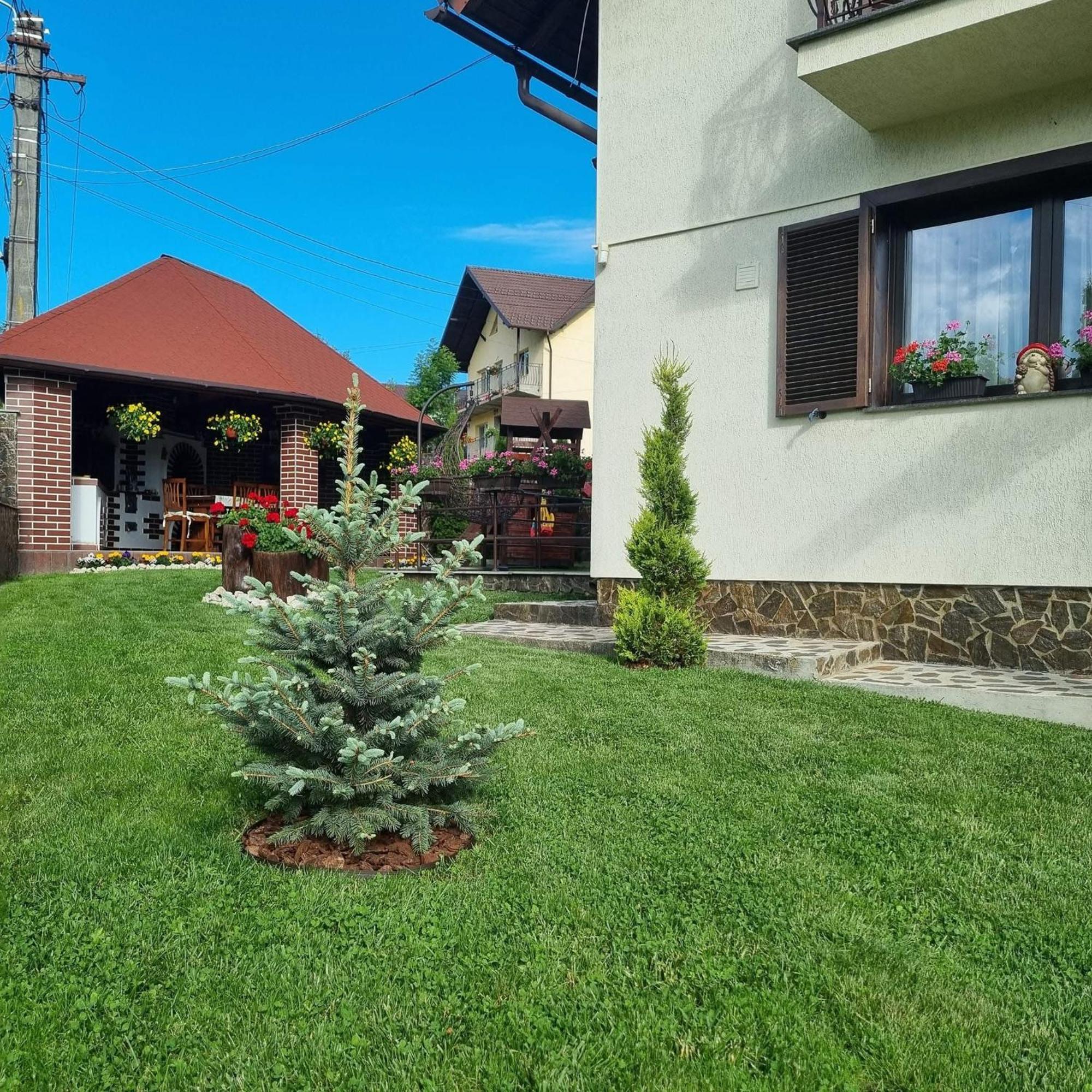 Pensiunea Select Curtea de Argeş Exteriér fotografie